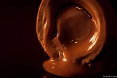 0 world chocolate day 07 07
