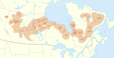 1885 in the last military engagement fought on canadian soil the 06 03