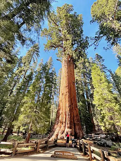 1890 the united states congress establishes sequoia national park 09 25