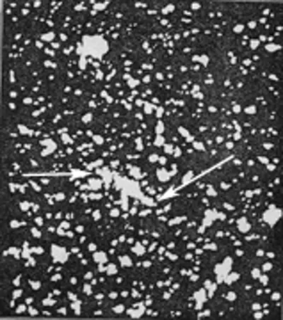 1892 edward emerson barnard is first to discover a comet by photo 10 13
