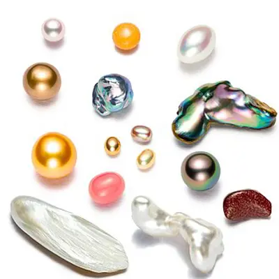 1893 the first cultured pearl is obtained by kokichi mikimoto