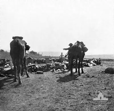 1900 the battle of elands river during the second boer war ends a 08 16