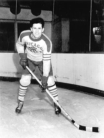 1913 al suomi american ice hockey player and referee died 2014 10 29