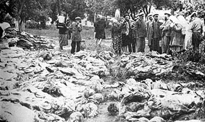 1937 great purge the soviet union under joseph stalin executes e 06 11