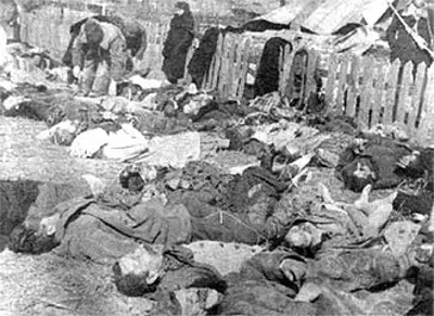 1943 massacres of poles in volhynia and eastern galicia by the uk 07 11