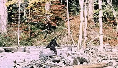 1967 roger patterson and robert gimlin filmed an unidentified sub 10 20