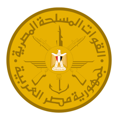 1973 the egyptian armed forces crossed the suez canal pictured 10 06