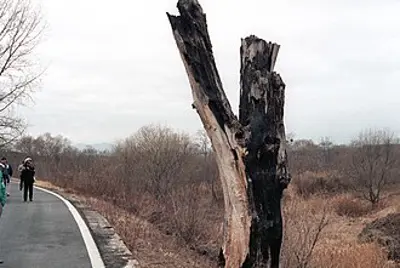 1976 the korean axe murder incident in panmunjom results in the d 08 18