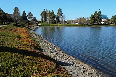 1977 oracle corporation is incorporated in redwood shores califo 06 16