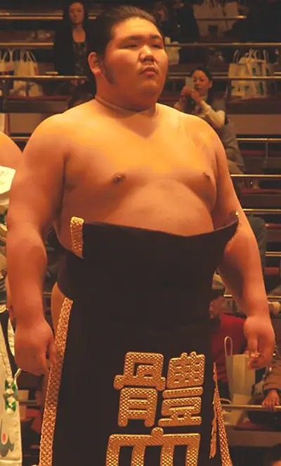 1988 chiyotairyu hidemasa japanese sumo wrestler 11 14