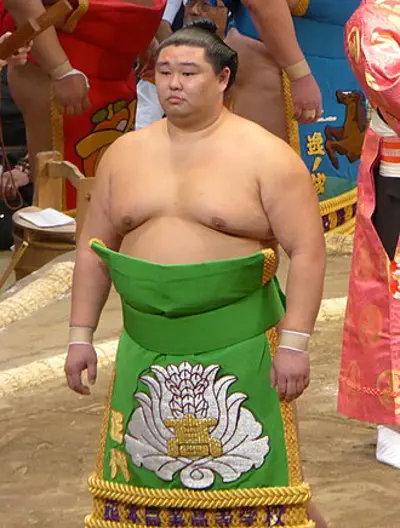 1991 shodai naoya japanese sumo wrestler 11 05