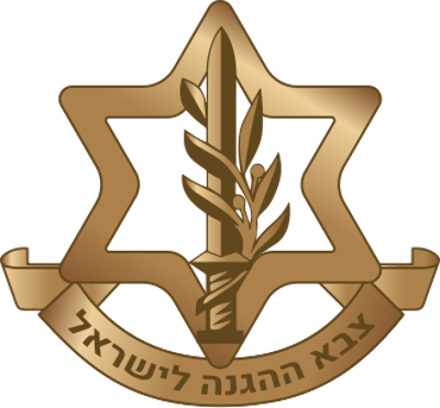 1991 the israel defense forces began operation solomon a covert 05 24