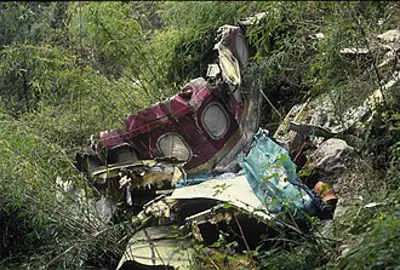 1992 thai airways international flight 311 crashes into a mountai 07 31