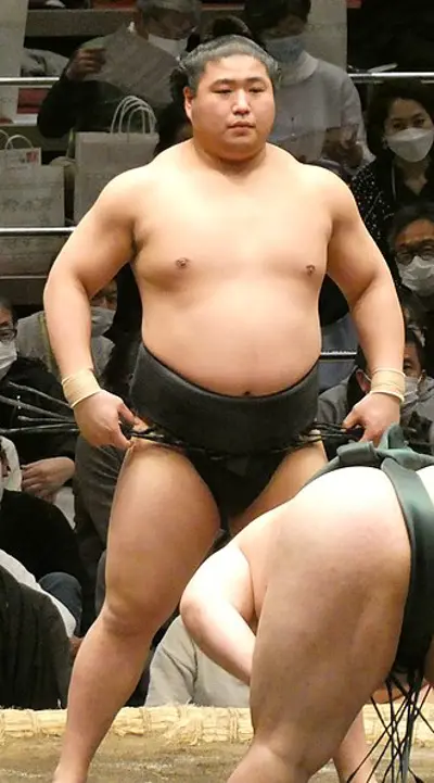 1993 wakamotoharu minato japanese sumo wrestler 10 05