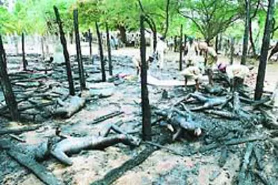 2001 erwadi fire incident twenty eight mentally ill persons tied 08 06