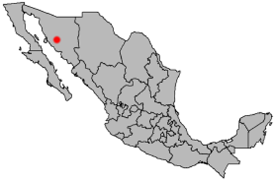 2009 a fire at a day care center kills 49 people in hermosillo m 06 05