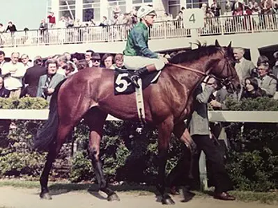 2015 pat eddery irish jockey and trainer born 1952 11 10