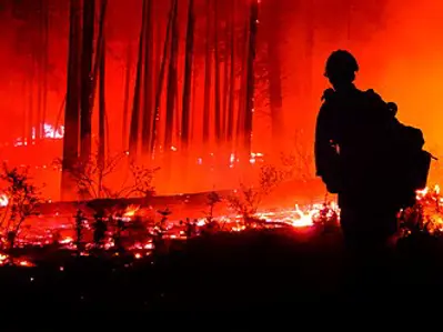 2017 in arizona the boundary fire pictured burned out after 32 07 03