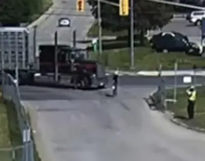 2020 animal rights advocate regan russell is run over and killed 06 19