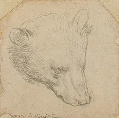 2021 head of a bear pictured sold at auction in london for a to 07 08