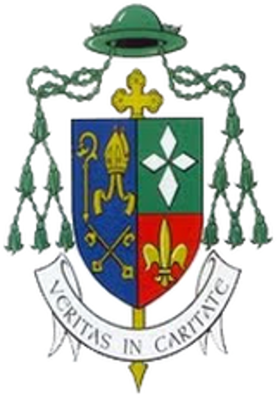 2024 donal murray irish catholic bishop born 1940 10 13