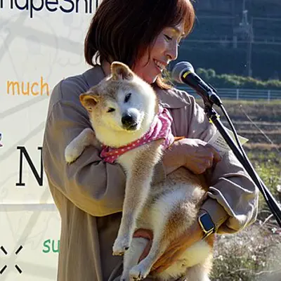 2024 kabosu japanese dog and internet meme celebrity born 2005 05 24